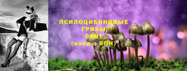 амф Горно-Алтайск
