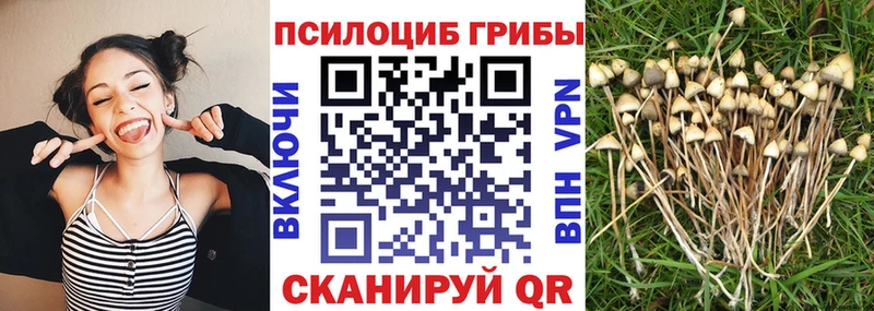 Галлюциногенные грибы MAGIC MUSHROOMS  где найти   Красноуфимск 